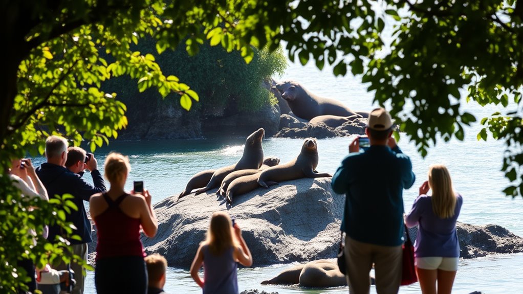 respect wildlife and environment