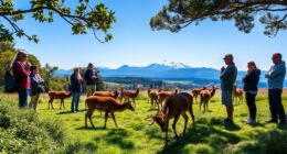 respect wildlife viewing guidelines