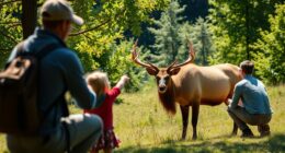 respect wildlife viewing guidelines