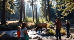 respect wildlife viewing guidelines