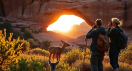respect wildlife viewing guidelines