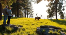 respect wildlife viewing guidelines