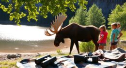 respect wildlife viewing guidelines