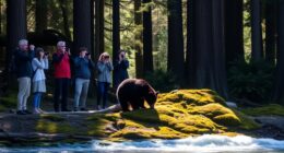 respect wildlife viewing guidelines