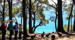 respect wildlife viewing guidelines