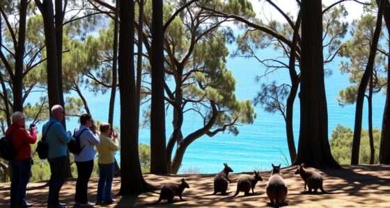 respect wildlife viewing guidelines