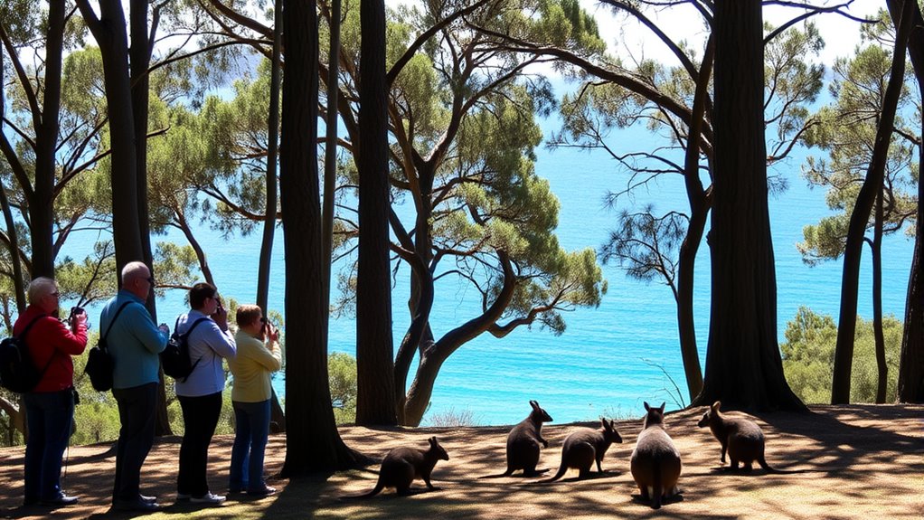 respect wildlife viewing guidelines