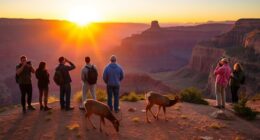 respect wildlife viewing rules