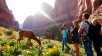 respect wildlife viewing rules