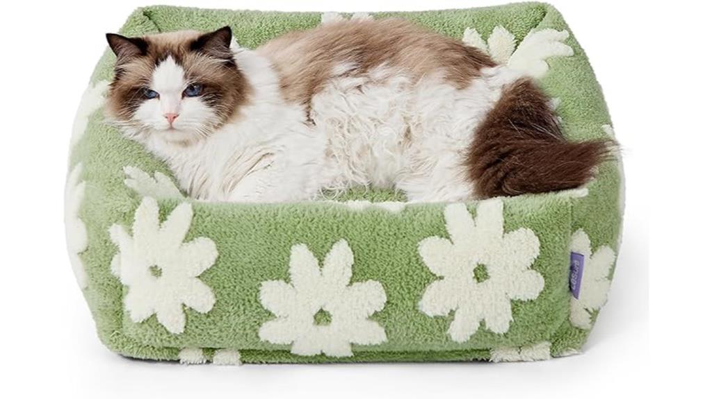 small dog cat bed