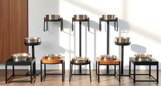 top adjustable pet bowl stands