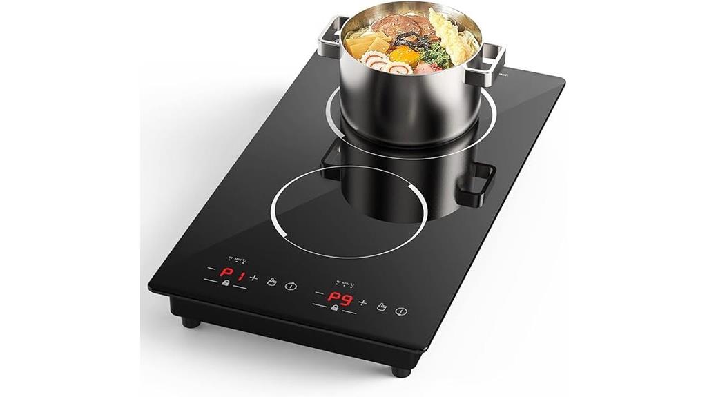 two burner induction stove
