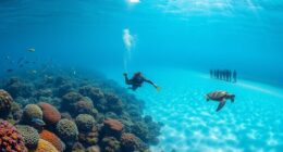 upcoming marine conservation events