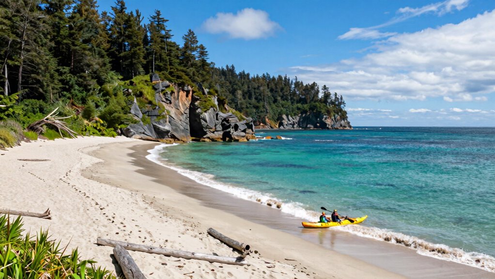 eco friendly beach conservation practices