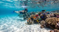 eco friendly ningaloo snorkeling
