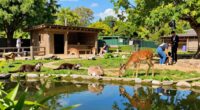 guide to ethical sanctuaries