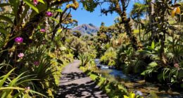 keep trails clean please