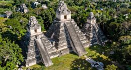 preserve tikal s ancient ruins