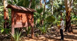 respect indigenous cultural protocols