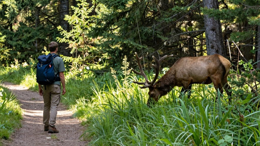 respect wildlife and habitats