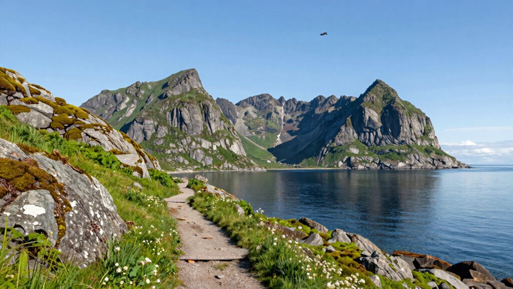 respect wildlife and resources