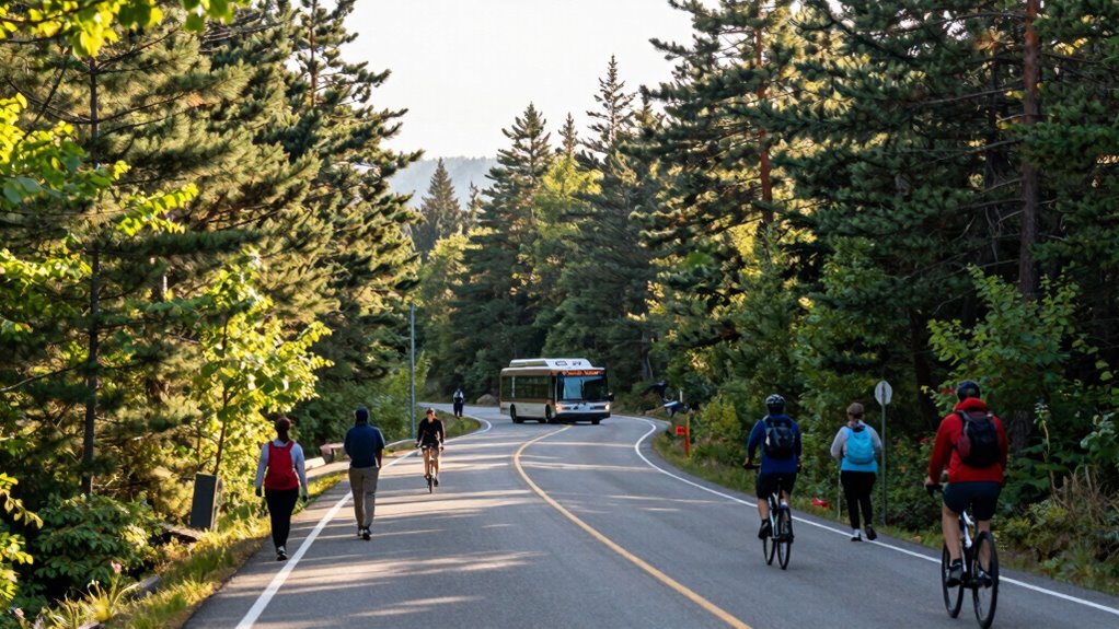 shuttle reduces traffic pollution