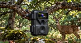 top 15 high resolution trail cameras