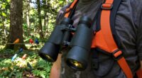 top birding harnesses 2026
