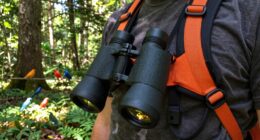 top birding harnesses 2026