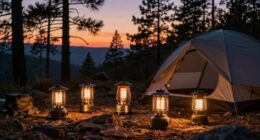 top camping propane heaters