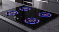 top double burner induction cooktops