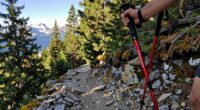 top trekking poles for descents