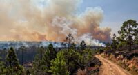 travel safely during wildfires