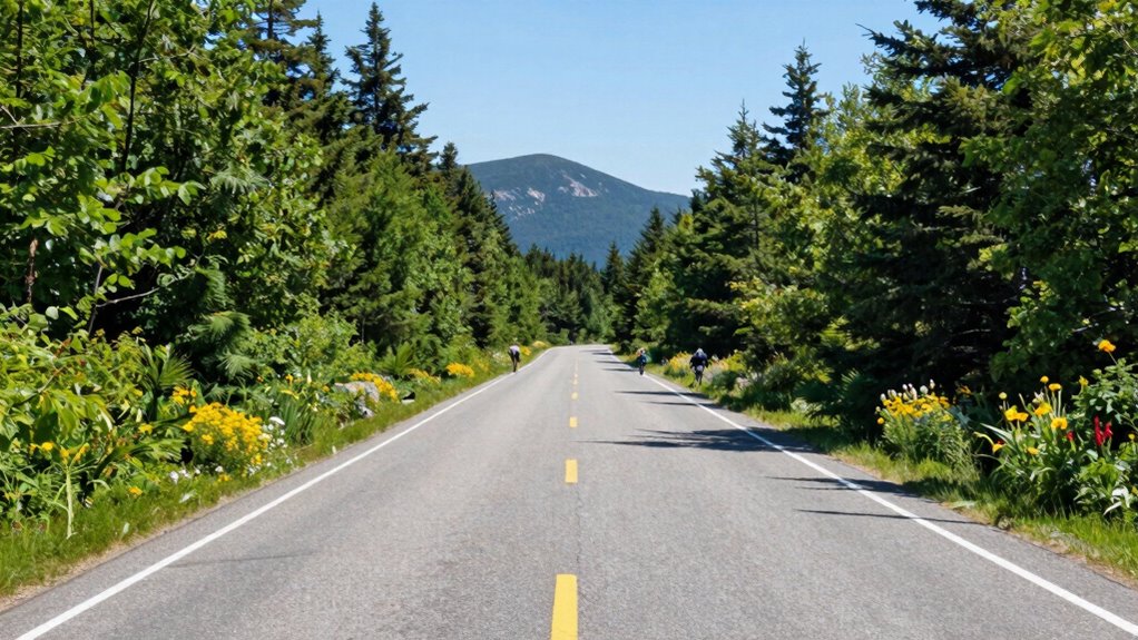 use shuttle system efficiently