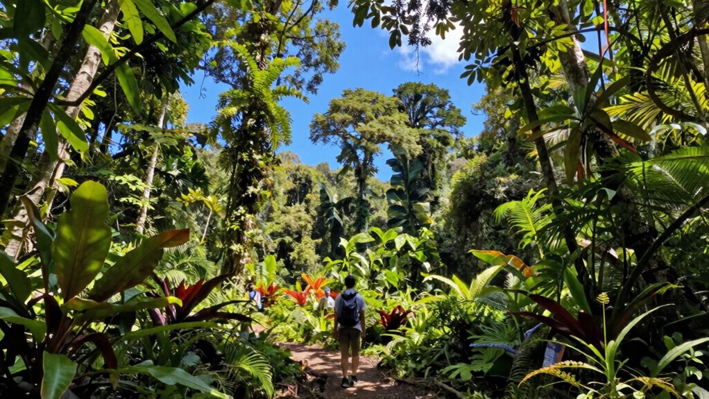 visit corcovado during shoulder seasons