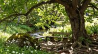 coexist peacefully with nature