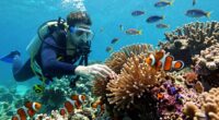 disturbing marine ecosystems