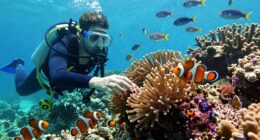 disturbing marine ecosystems
