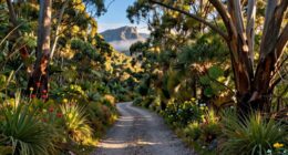 eco friendly tasmania adventures