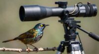 effective compact wildlife gear