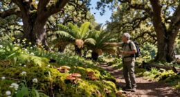 enhancing nature through guidance