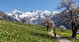 fewer crowds better experiences