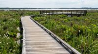 guided nature exploration spaces