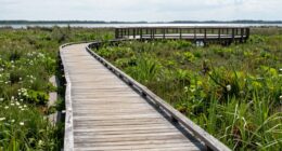 guided nature exploration spaces