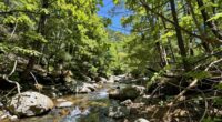 illusory pristine wilderness myth