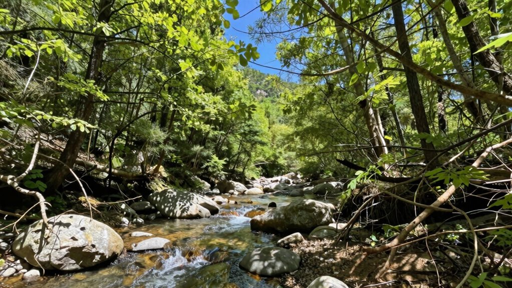 illusory pristine wilderness myth
