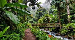 overtourism causing local frustration