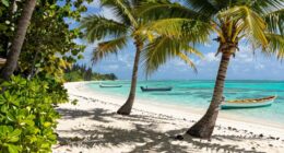 relaxed stress free island vibe