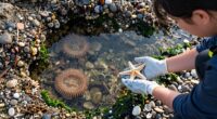 respectful marine exploration practices