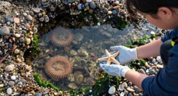 respectful marine exploration practices